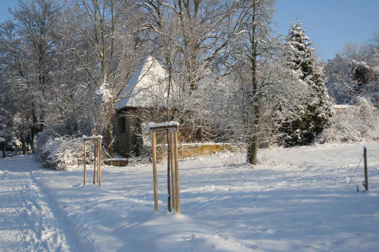 Hotel Und Restaurant Rittergut Kreipitzsch Νάουμπουργκ Εξωτερικό φωτογραφία